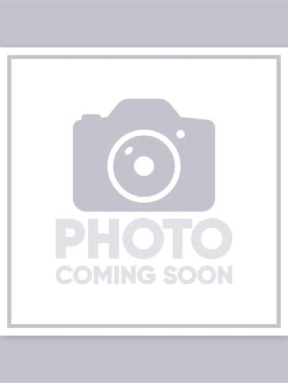 Grey North Face long puffer jacket (as is see notes)